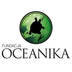 Obraz2